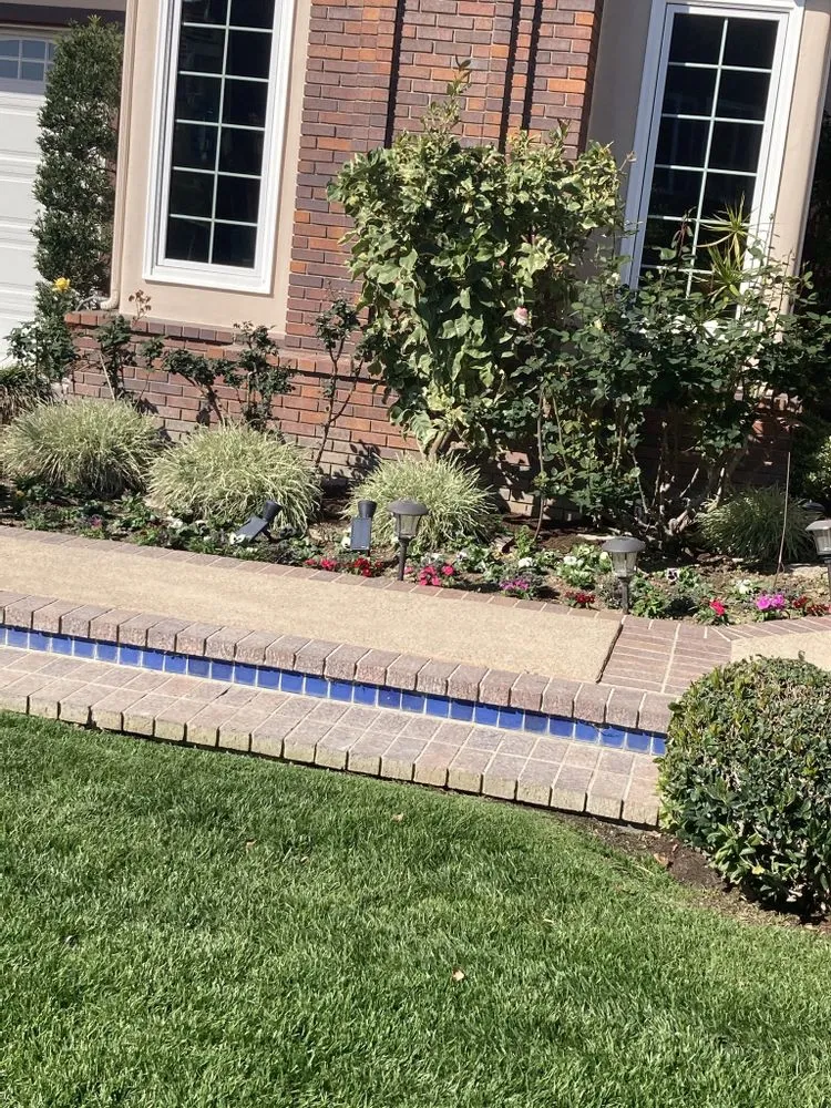 Affordable landscape installation for outdoor upgrades in Bellflower, CA by Mederos Landscaping