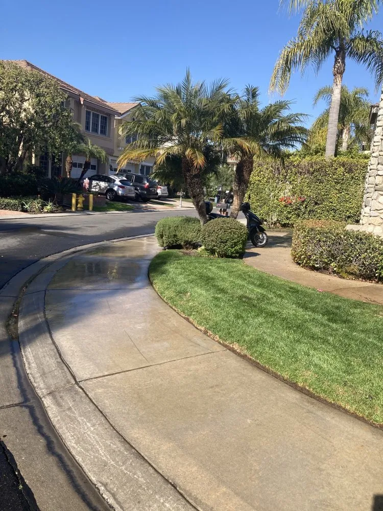 Trusted yard maintenance near you across Bellflower, CA - Mederos Landscaping