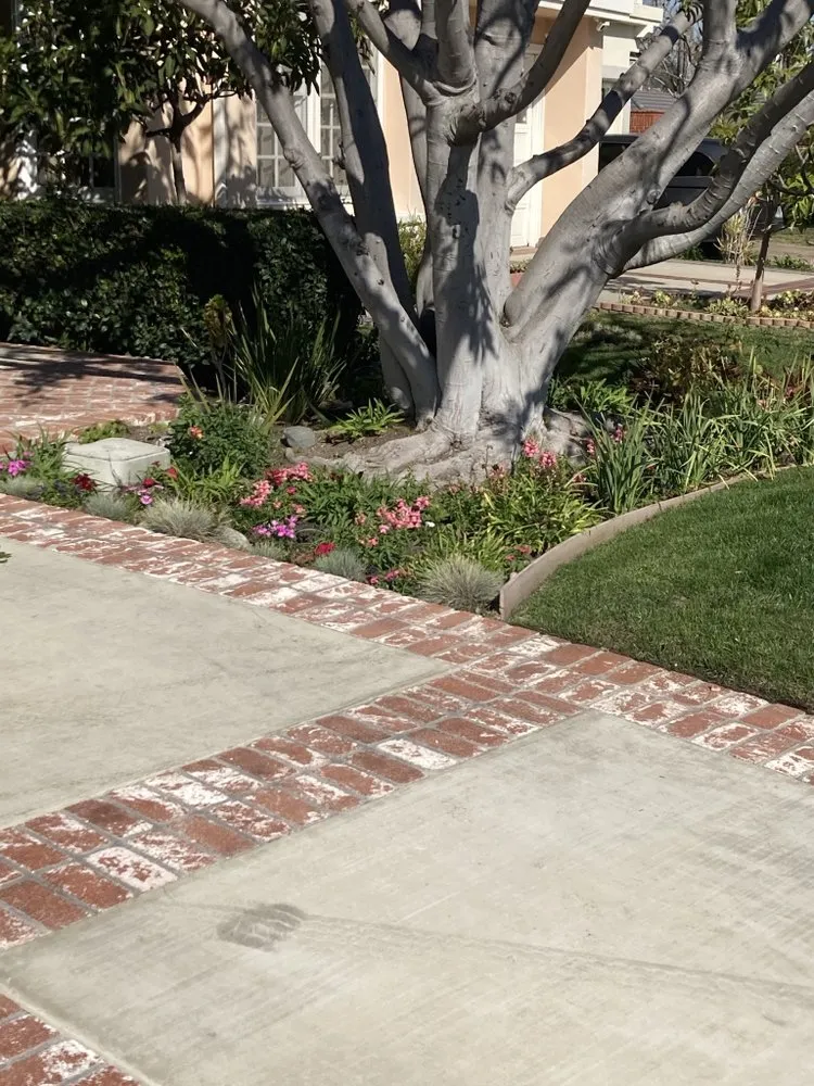 Custom landscaping services in Bellflower, CA by Mederos Landscaping