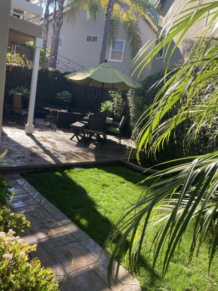 Professional yard cleanup service in Bellflower, CA by Mederos Landscaping