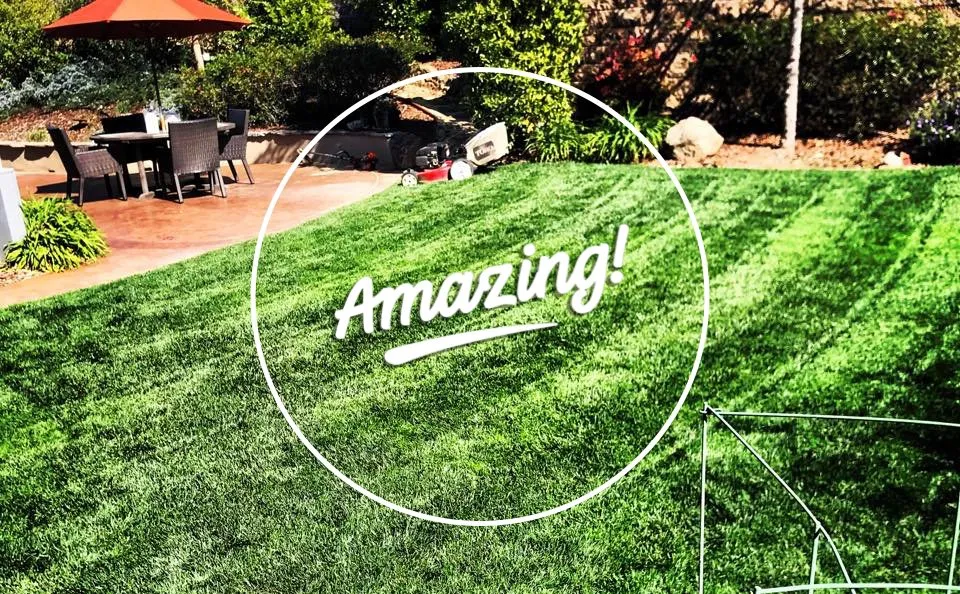 Top-rated outdoor landscaping in Carmichael, CA - Medford & Daughterz Extreme Lawn Care