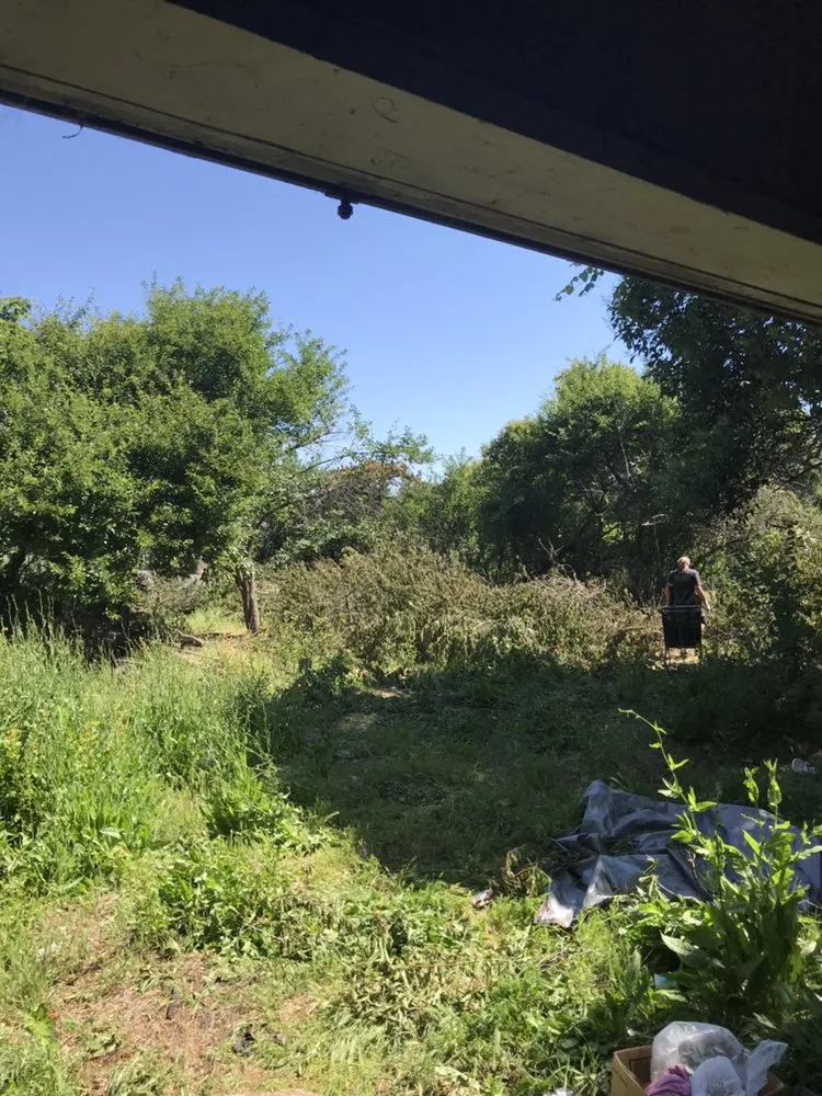 Expert lawn care service in Carmichael, CA by Medford & Daughterz Extreme Lawn Care