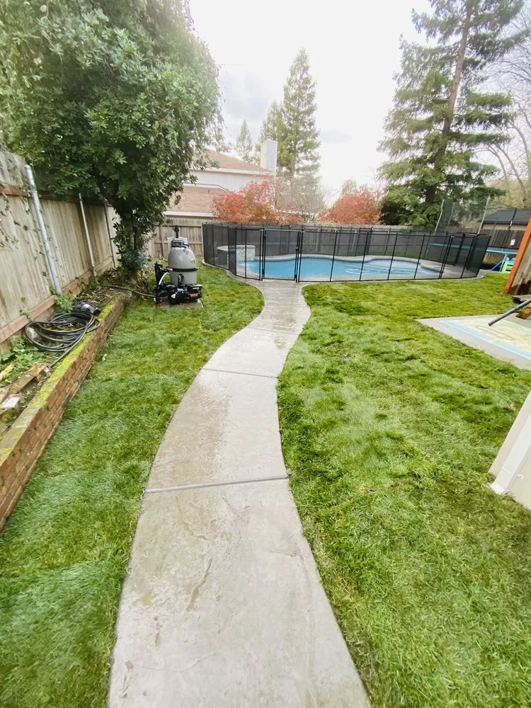 Professional yard cleanup service in Carmichael, CA by Medford & Daughterz Extreme Lawn Care
