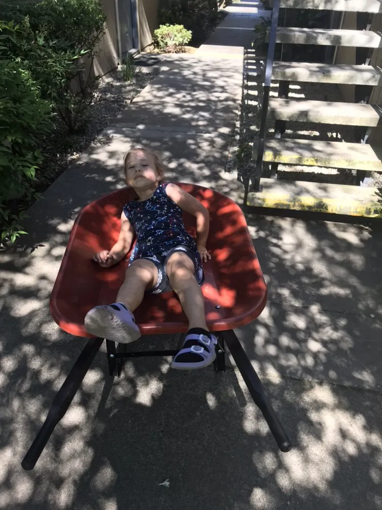 Reliable lawn care service in Carmichael, CA by Medford & Daughterz Extreme Lawn Care