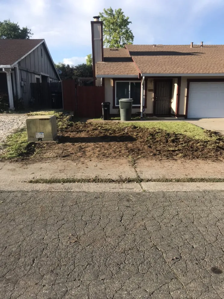 Top-rated yard maintenance for homes in Carmichael, CA by Medford & Daughterz Extreme Lawn Care