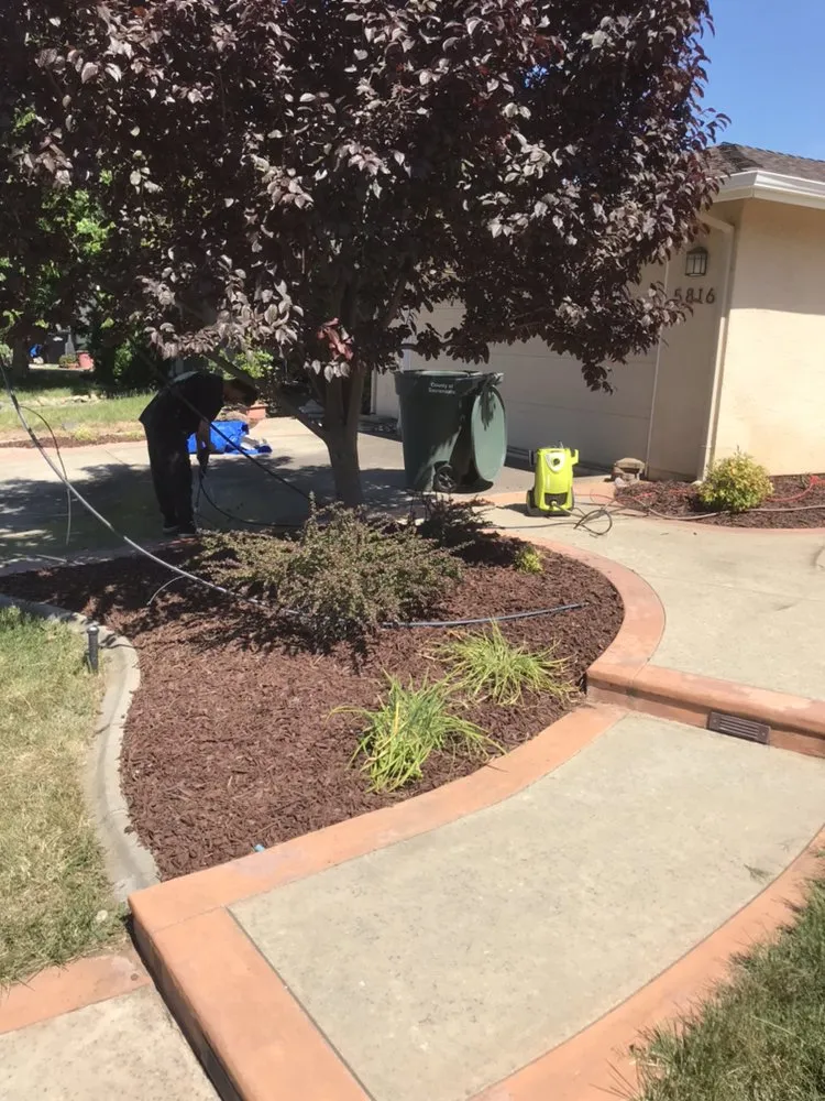 Top-rated yard maintenance experts serving Carmichael, CA - Medford & Daughterz Extreme Lawn Care