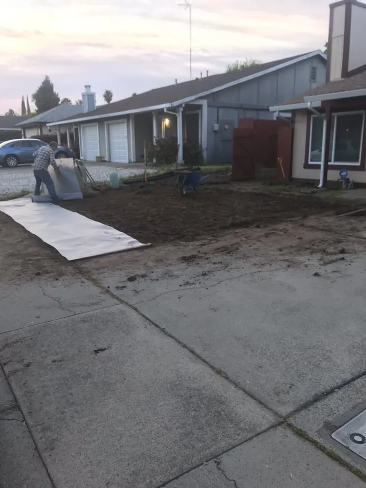 Reliable landscape design experts serving Carmichael, CA - Medford & Daughterz Extreme Lawn Care