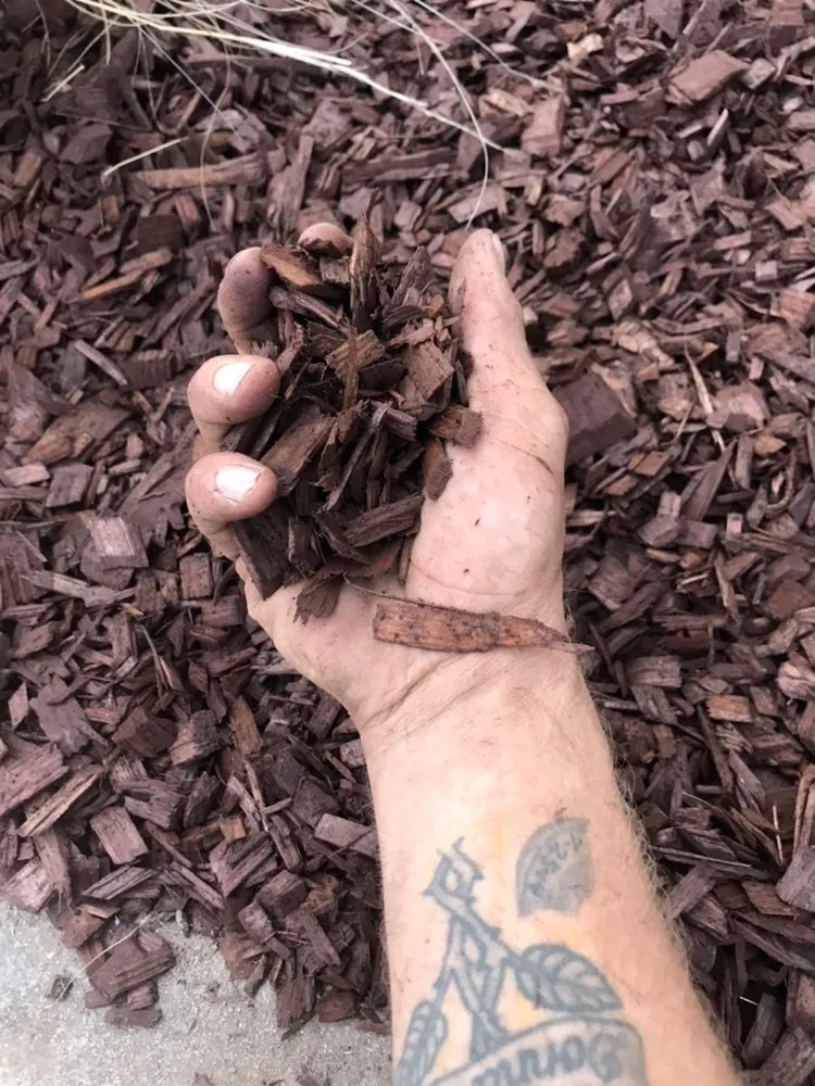 Professional landscape installation for homes across Carmichael, CA - Medford & Daughterz Extreme Lawn Care