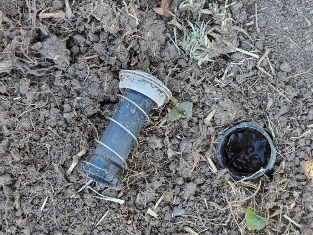 Local lawn care service in Carmichael, CA by Medford & Daughterz Extreme Lawn Care