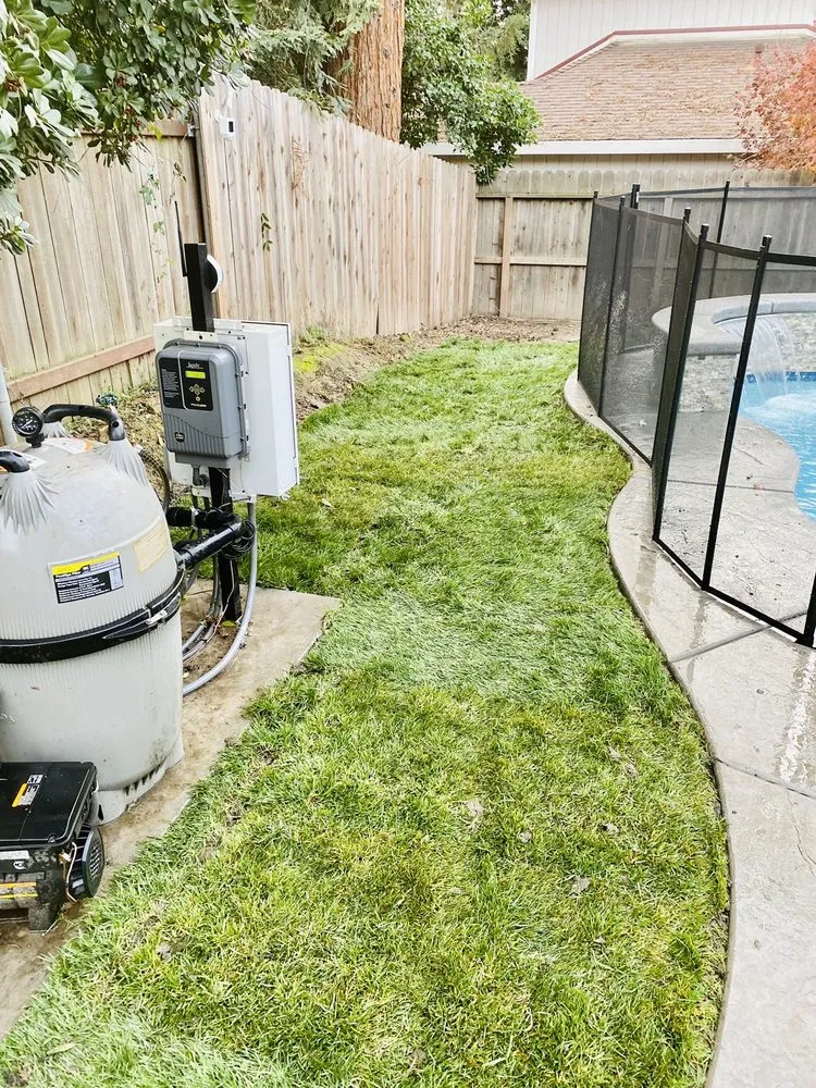 Affordable outdoor landscaping experts serving Carmichael, CA - Medford & Daughterz Extreme Lawn Care