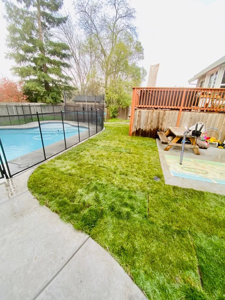 Trusted landscape installation in Carmichael, CA by Medford & Daughterz Extreme Lawn Care