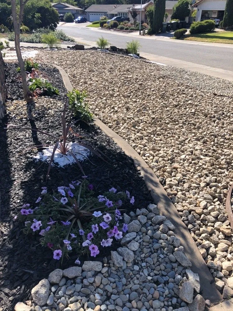 Affordable residential landscaping near you across Carmichael, CA - Medford & Daughterz Extreme Lawn Care