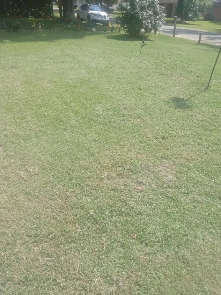 Reliable residential landscaping in Longview, TX - Medford Lawn Care