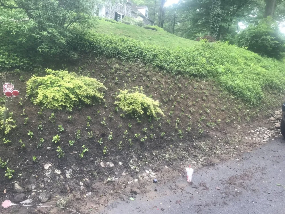 Expert residential landscaping near you across Media, PA - Media Tristate Lawn Care