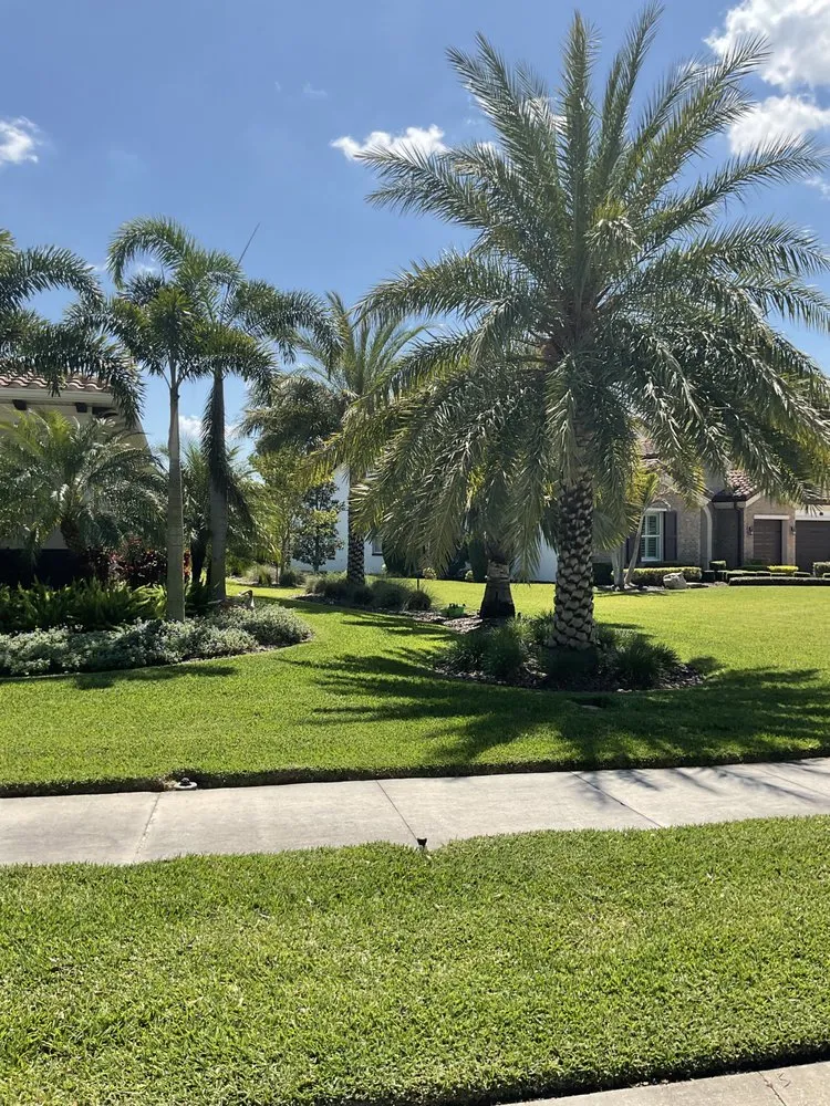 Local yard cleanup service for homes in San Antonio, FL by Medic Lawncare