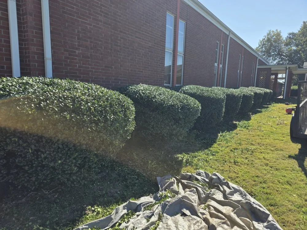 Custom residential landscaping for outdoor upgrades across Dallas, NC - Medic1 lawn service