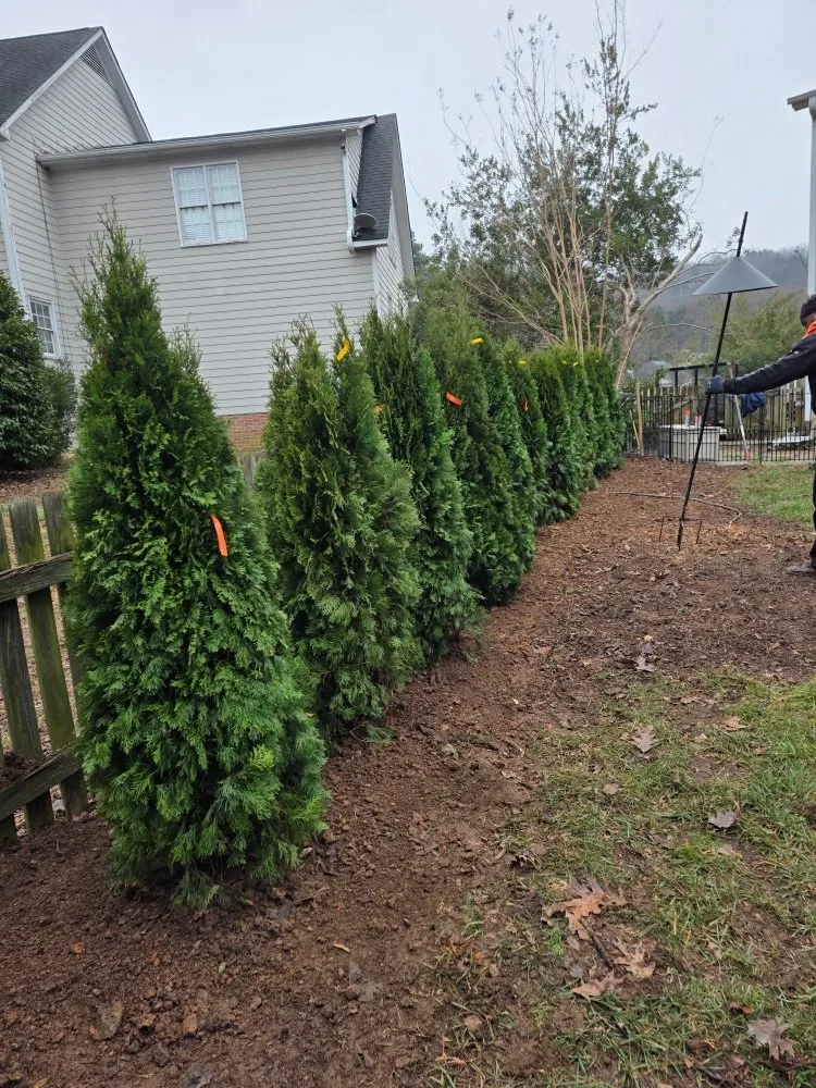 Reliable landscape design for year-round maintenance in Dallas, NC by Medic1 lawn service