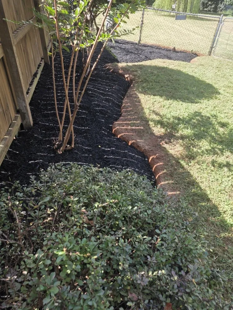 Reliable lawn care service for outdoor upgrades in Dallas, NC by Medic1 lawn service