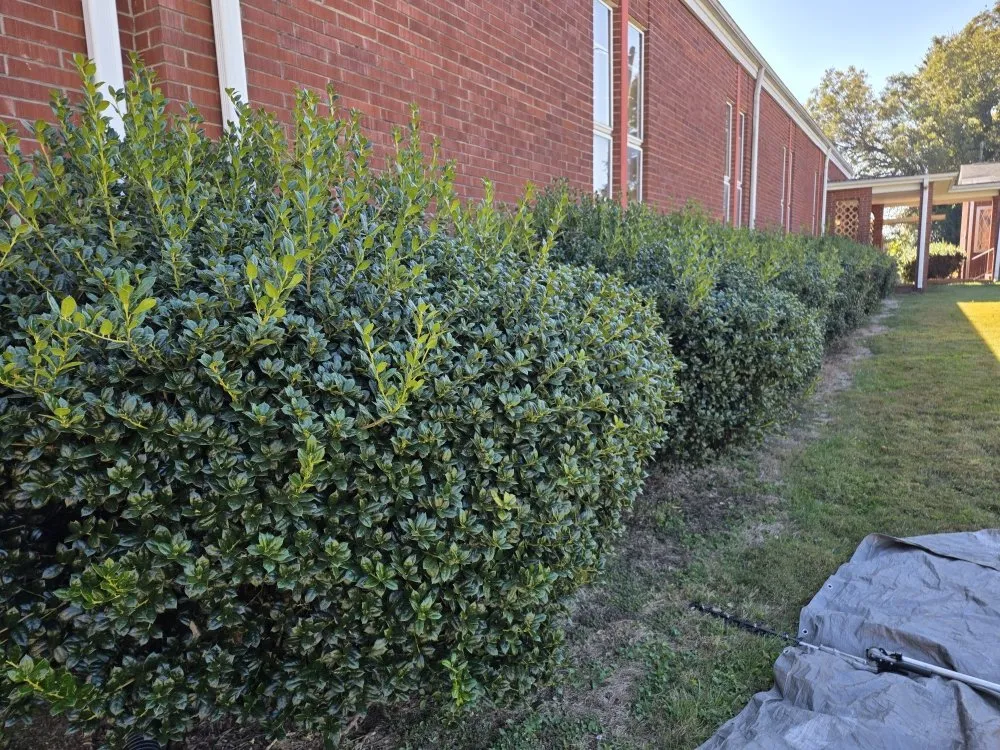 Affordable landscape installation in Dallas, NC - Medic1 lawn service