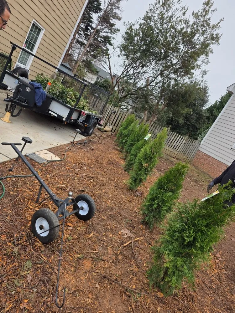 Custom yard cleanup service in Dallas, NC by Medic1 lawn service