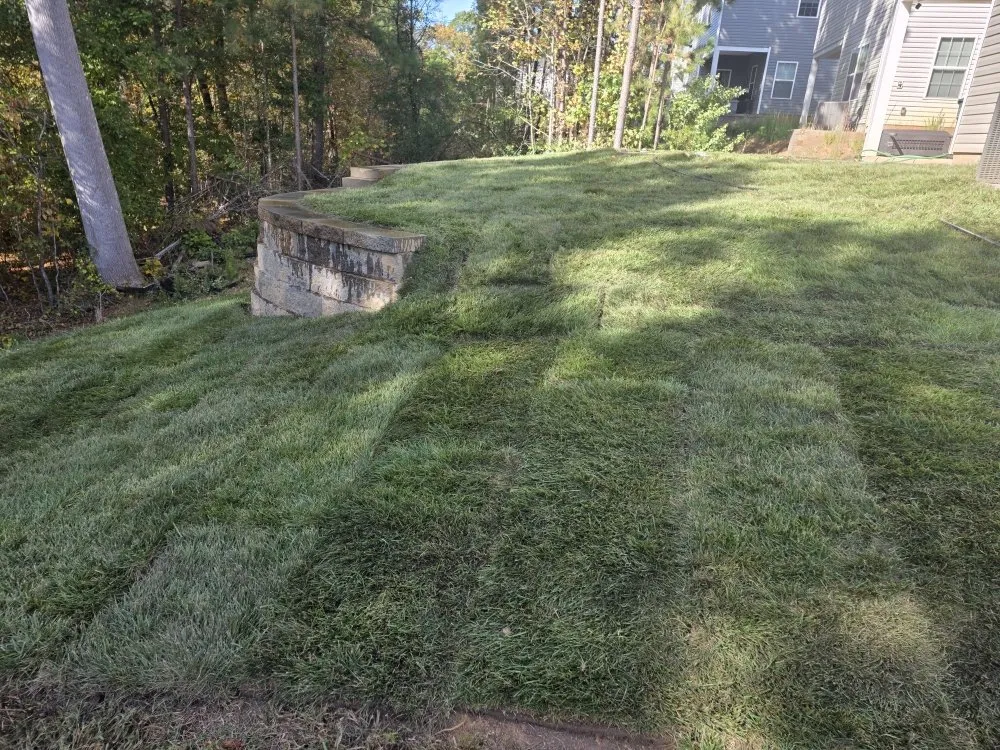 Custom landscape installation for residential properties in Dallas, NC by Medic1 lawn service