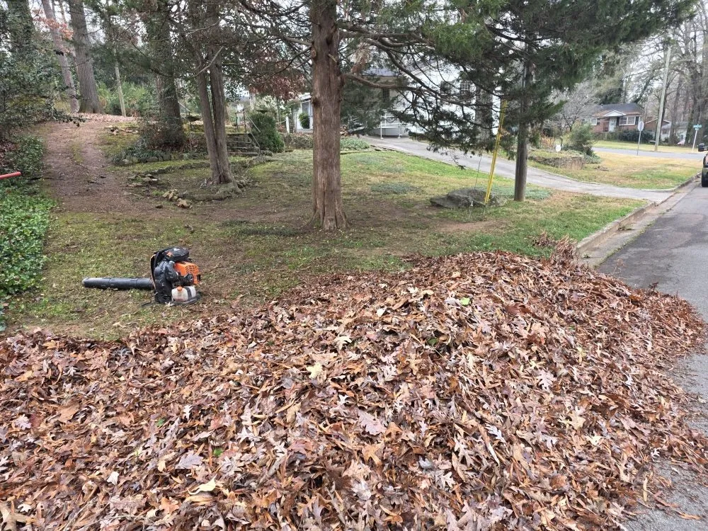 Trusted residential landscaping in Dallas, NC - Medic1 lawn service