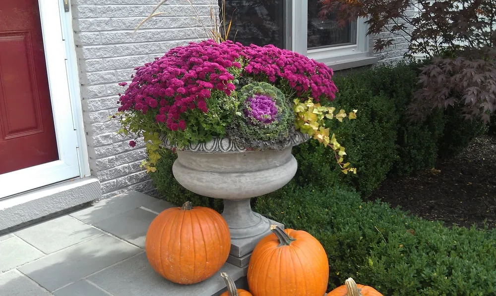 Reliable landscape installation for outdoor upgrades in Highwood, IL by Medina & Sons Landscape