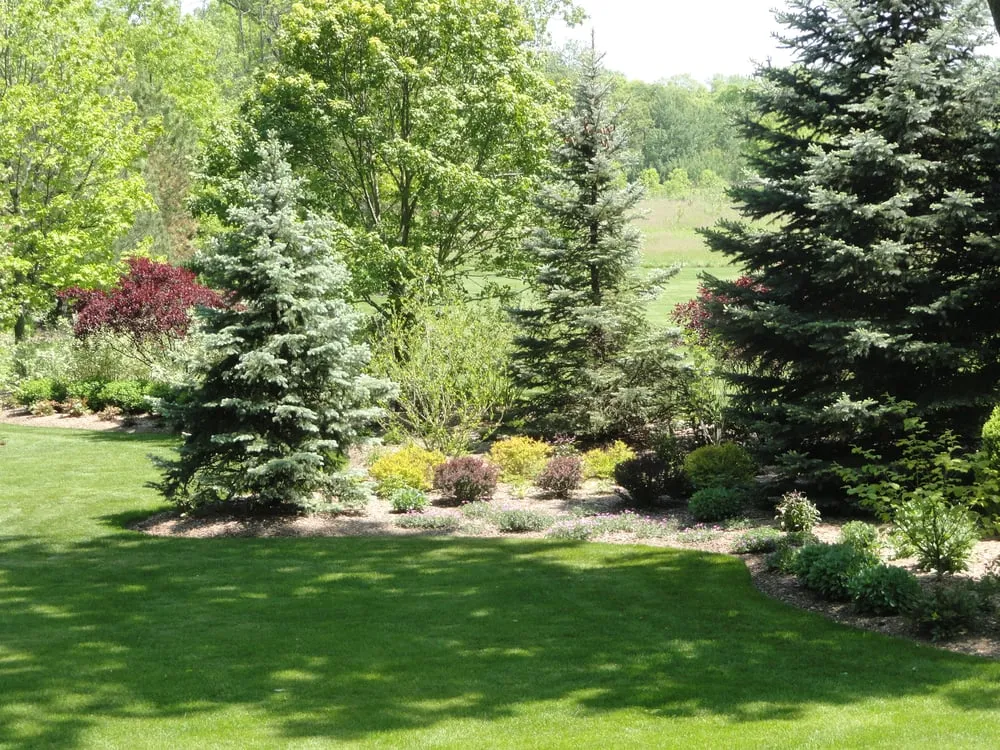 Top-rated yard cleanup service in Highwood, IL by Medina & Sons Landscape