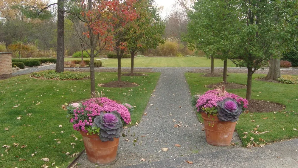 Expert lawn mowing service for beautiful yards in Highwood, IL by Medina & Sons Landscape