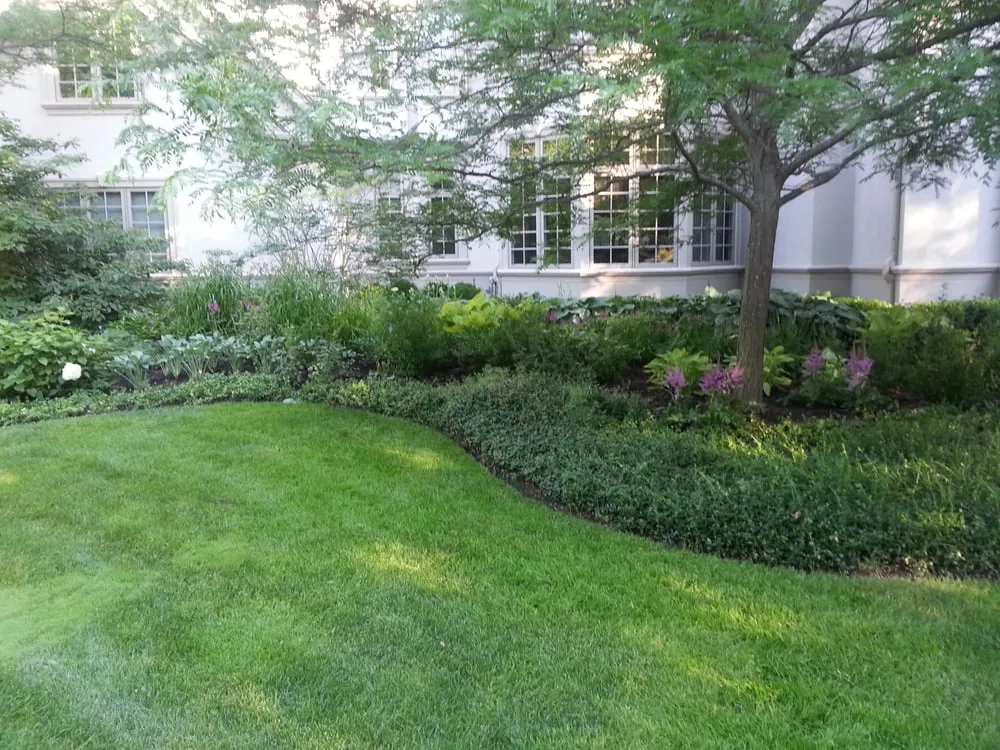 Reliable yard cleanup service experts serving Highwood, IL - Medina & Sons Landscape