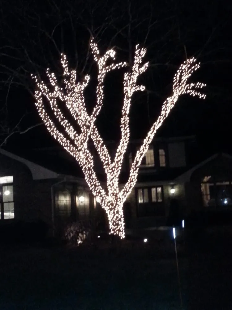 Expert outdoor landscaping experts serving Highwood, IL - Medina & Sons Landscape