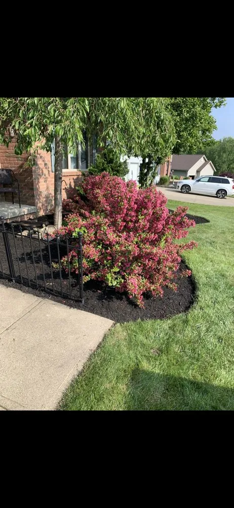 Local yard maintenance for outdoor upgrades across Mansfield, OH - Medina & Sons