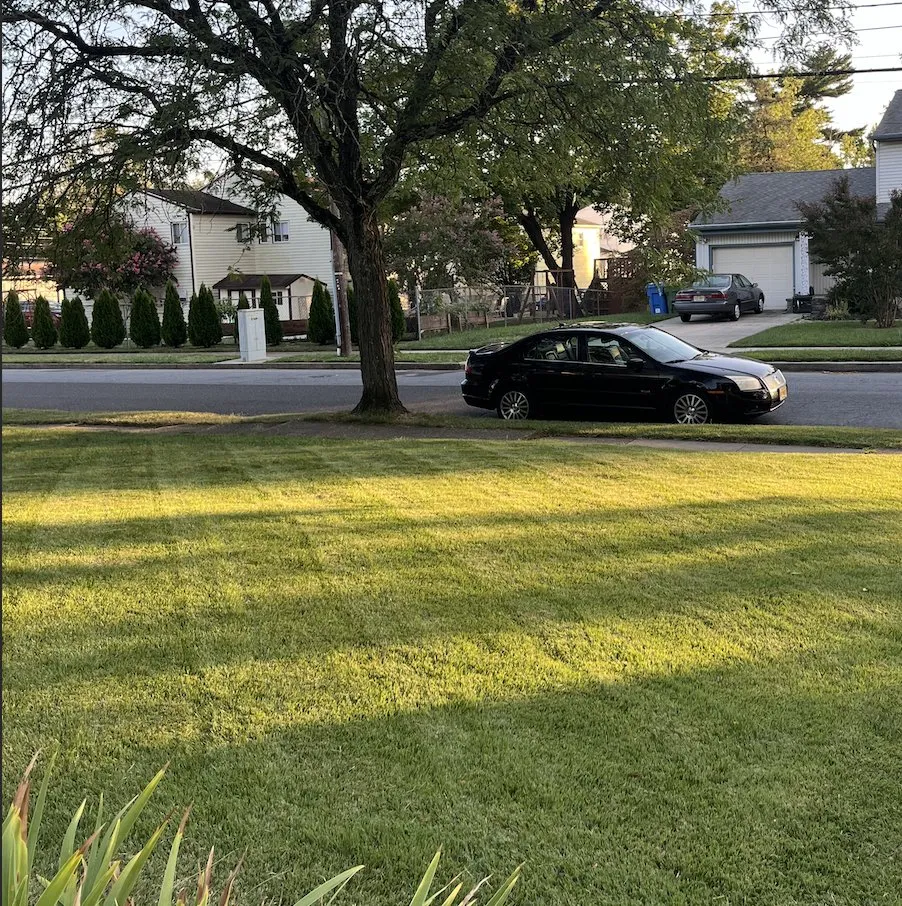 Local lawn mowing service experts serving Cherry Hill, NJ - Medina Eco Lawns