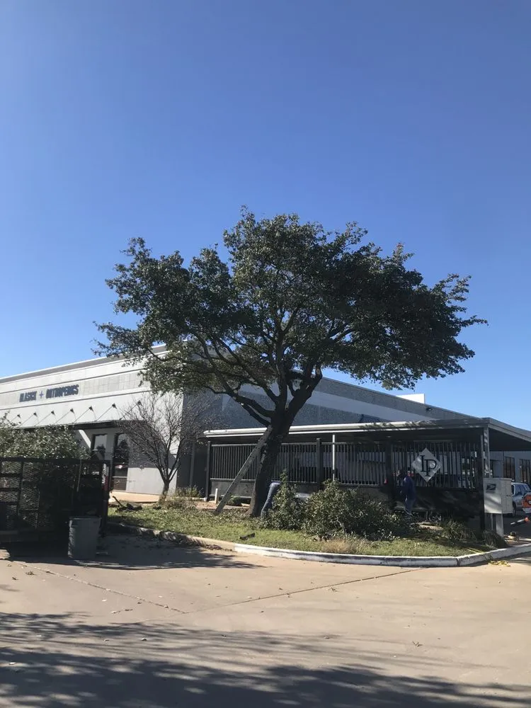 Expert garden landscaping near you across Mart, TX - Medina Landscape & Tree Service