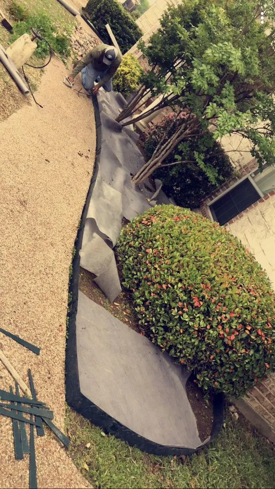 Top-rated yard cleanup service for year-round maintenance across Mart, TX - Medina Landscape & Tree Service