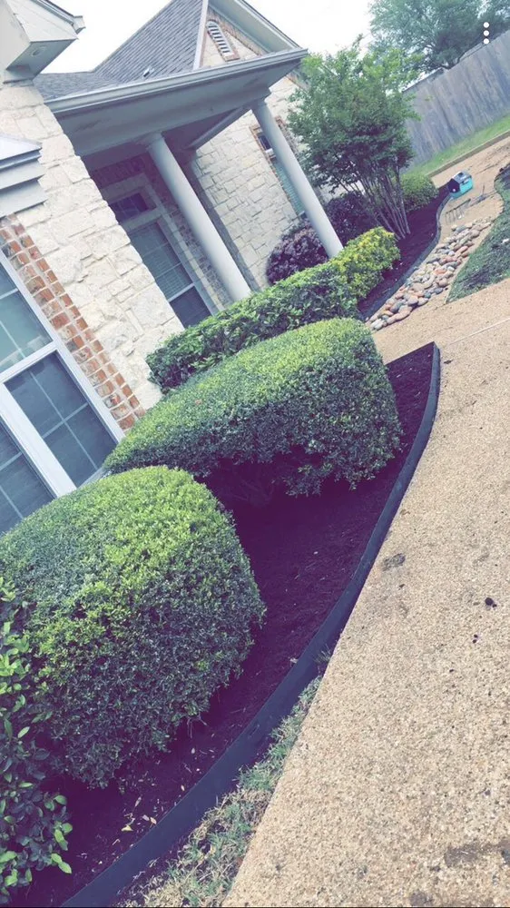Trusted lawn care service in Mart, TX by Medina Landscape & Tree Service