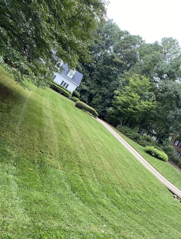 Affordable yard cleanup service in Clayton, NC - Medina Landscape Solutions