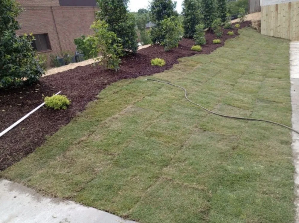 Custom residential landscaping in Clayton, NC - Medina Landscape Solutions