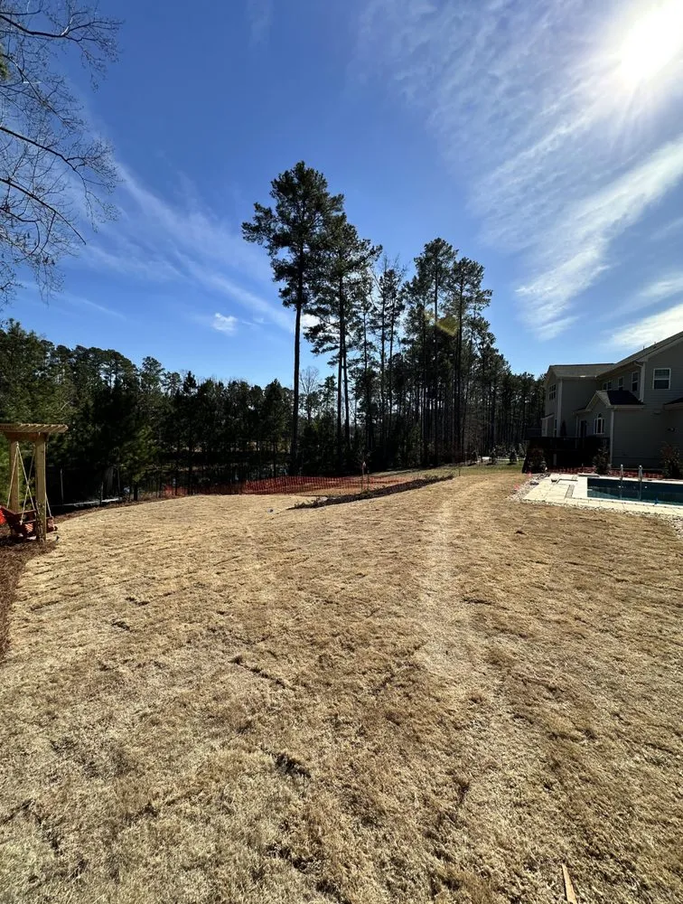 Affordable yard cleanup service for residential properties in Clayton, NC by Medina Landscape Solutions