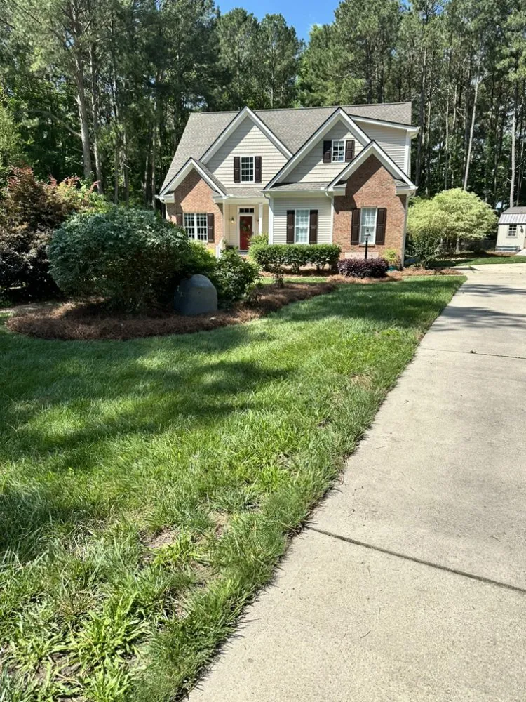 Top-rated outdoor landscaping for year-round maintenance across Clayton, NC - Medina Landscape Solutions