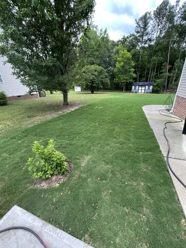 Expert yard maintenance in Clayton, NC by Medina Landscape Solutions