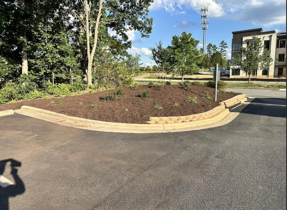 Trusted lawn care service for year-round maintenance in Clayton, NC by Medina Landscape Solutions