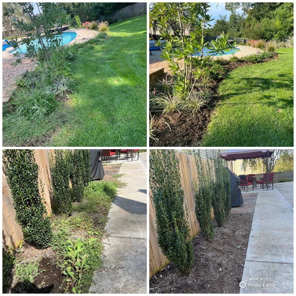 Local landscape installation near you in Lenoir City, TN by Medina Landscaping & Hardscaping