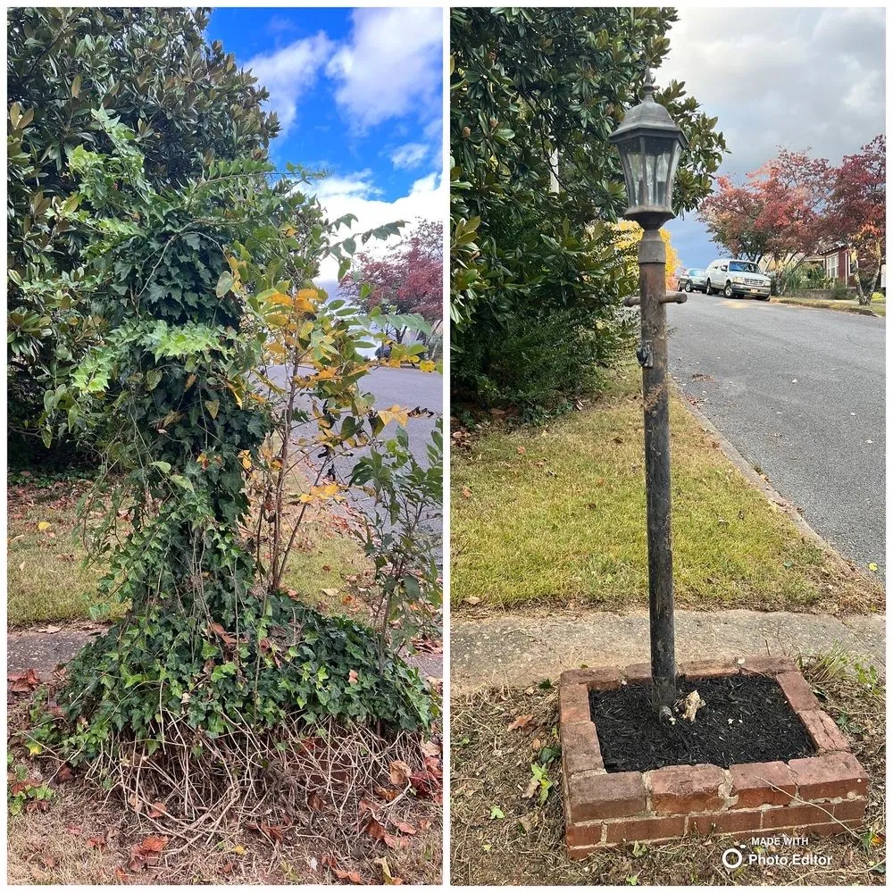 Local landscape installation with custom design across Lenoir City, TN - Medina Landscaping & Hardscaping