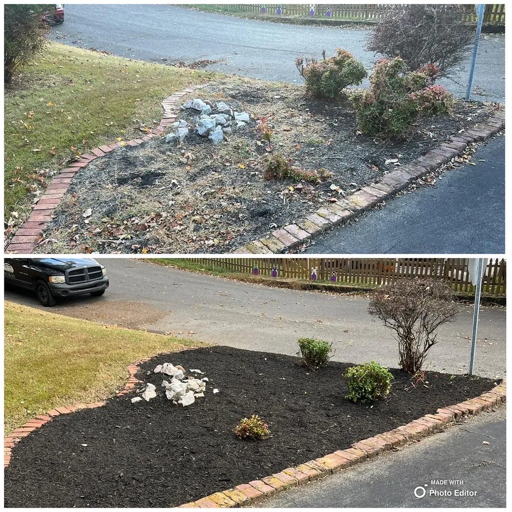 Professional yard cleanup service near you in Lenoir City, TN by Medina Landscaping & Hardscaping