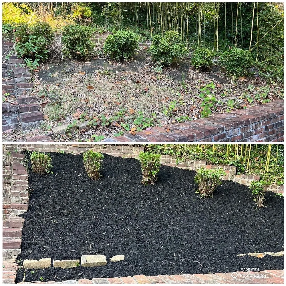 Affordable landscape installation in Lenoir City, TN - Medina Landscaping & Hardscaping