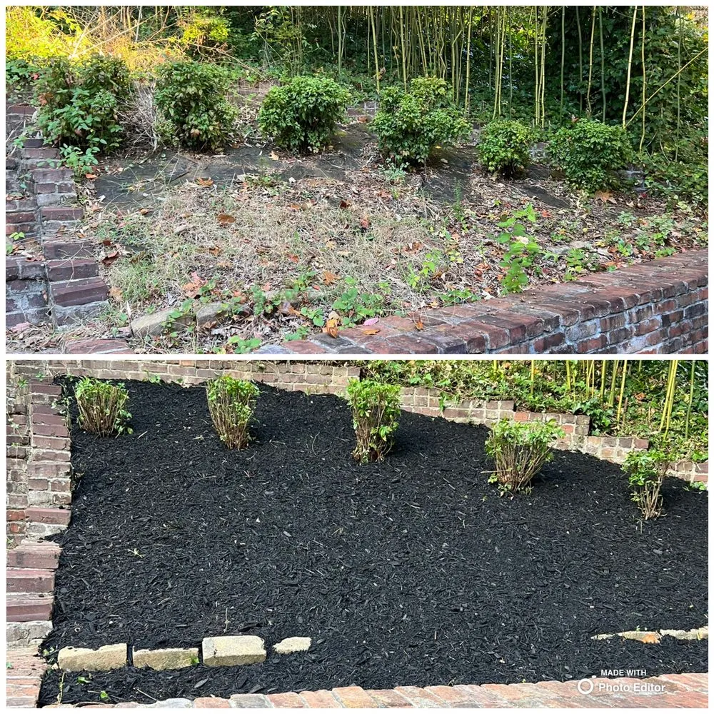 Affordable lawn care service in Lenoir City, TN by Medina Landscaping & Hardscaping