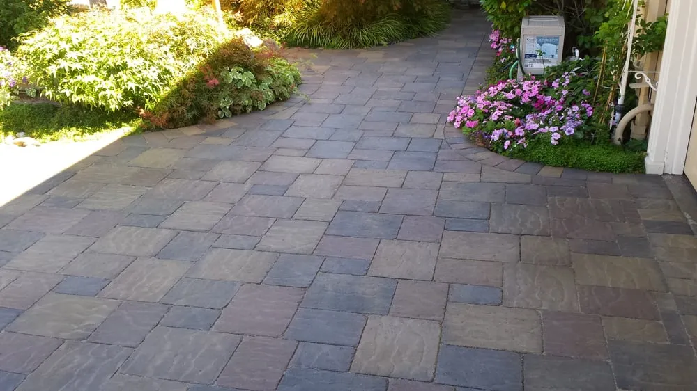 Trusted lawn mowing service experts serving San Jose, CA - Medina Landscaping and Gardening Service