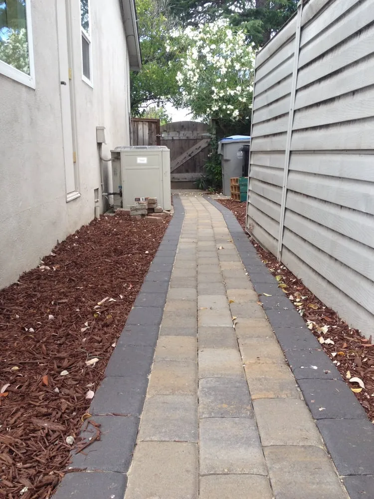Expert yard maintenance for year-round maintenance in San Jose, CA by Medina Landscaping and Gardening Service