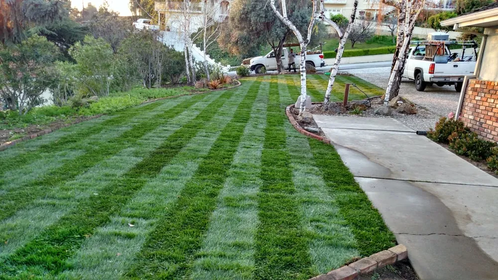 Professional lawn mowing service experts serving San Jose, CA - Medina Landscaping and Gardening Service